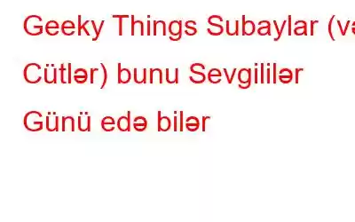 Geeky Things Subaylar (və Cütlər) bunu Sevgililər Günü edə bilər