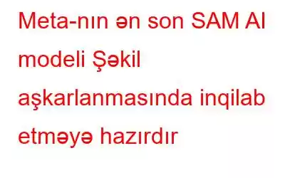 Meta-nın ən son SAM AI modeli Şəkil aşkarlanmasında inqilab etməyə hazırdır