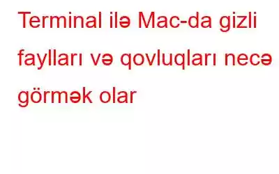 Terminal ilə Mac-da gizli faylları və qovluqları necə görmək olar