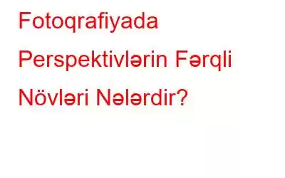 Fotoqrafiyada Perspektivlərin Fərqli Növləri Nələrdir?