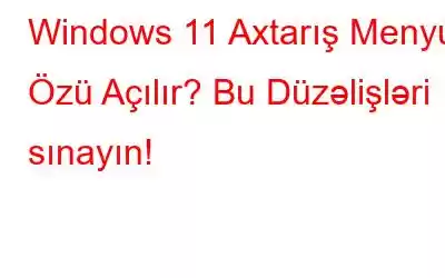 Windows 11 Axtarış Menyu Özü Açılır? Bu Düzəlişləri sınayın!