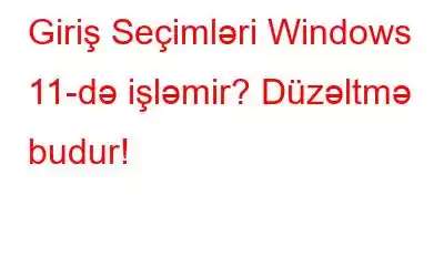 Giriş Seçimləri Windows 11-də işləmir? Düzəltmə budur!