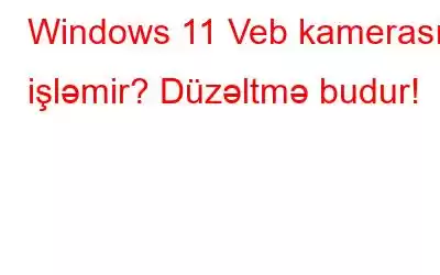 Windows 11 Veb kamerası işləmir? Düzəltmə budur!