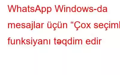 WhatsApp Windows-da mesajlar üçün “Çox seçimli” funksiyanı təqdim edir