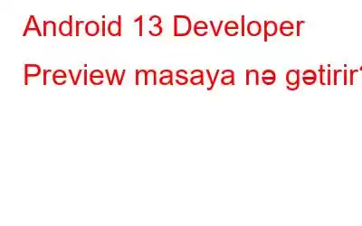 Android 13 Developer Preview masaya nə gətirir?