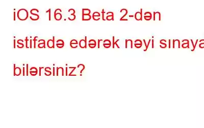 iOS 16.3 Beta 2-dən istifadə edərək nəyi sınaya bilərsiniz?