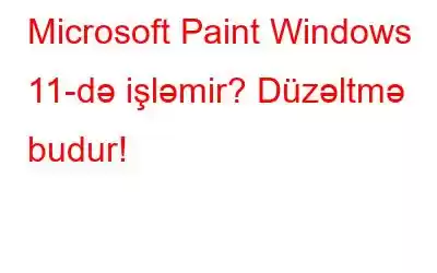 Microsoft Paint Windows 11-də işləmir? Düzəltmə budur!