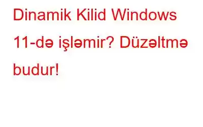 Dinamik Kilid Windows 11-də işləmir? Düzəltmə budur!