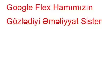 Google Flex Hamımızın Gözlədiyi Əməliyyat Sistemi