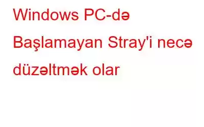 Windows PC-də Başlamayan Stray'i necə düzəltmək olar