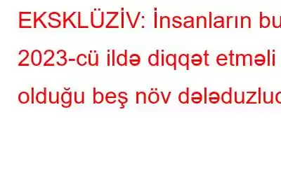 EKSKLÜZİV: İnsanların bu 2023-cü ildə diqqət etməli olduğu beş növ dələduzluq