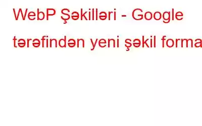 WebP Şəkilləri - Google tərəfindən yeni şəkil formatı