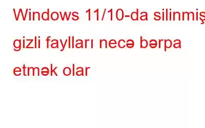 Windows 11/10-da silinmiş gizli faylları necə bərpa etmək olar