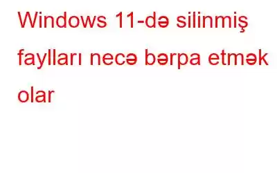 Windows 11-də silinmiş faylları necə bərpa etmək olar