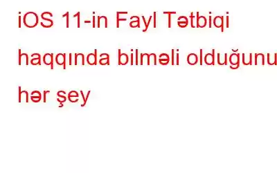 iOS 11-in Fayl Tətbiqi haqqında bilməli olduğunuz hər şey