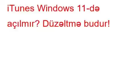 iTunes Windows 11-də açılmır? Düzəltmə budur!