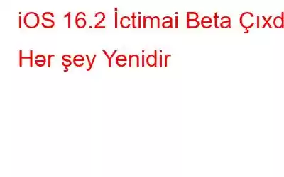 iOS 16.2 İctimai Beta Çıxdı: Hər şey Yenidir