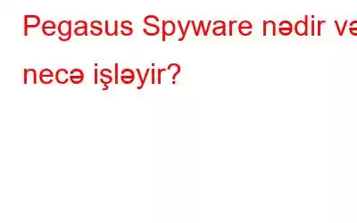 Pegasus Spyware nədir və necə işləyir?