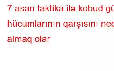 7 asan taktika ilə kobud güc hücumlarının qarşısını necə almaq olar