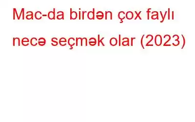 Mac-da birdən çox faylı necə seçmək olar (2023)