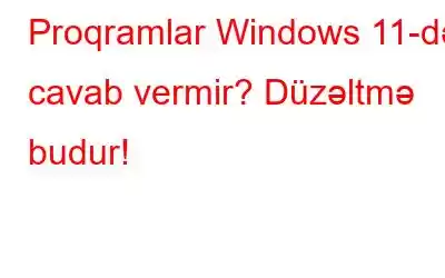 Proqramlar Windows 11-də cavab vermir? Düzəltmə budur!