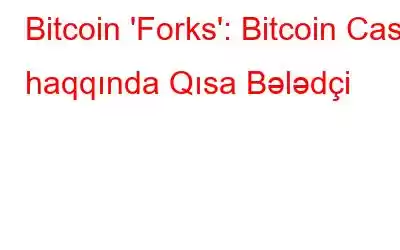 Bitcoin 'Forks': Bitcoin Cash haqqında Qısa Bələdçi