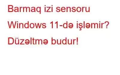 Barmaq izi sensoru Windows 11-də işləmir? Düzəltmə budur!