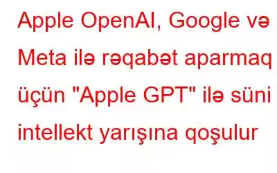 Apple OpenAI, Google və Meta ilə rəqabət aparmaq üçün 