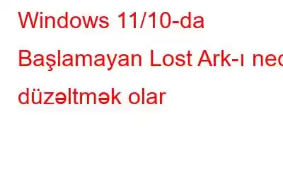 Windows 11/10-da Başlamayan Lost Ark-ı necə düzəltmək olar