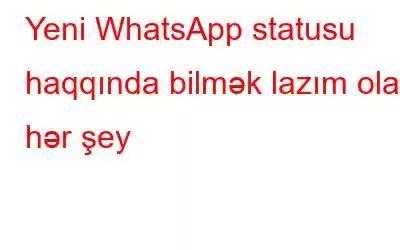 Yeni WhatsApp statusu haqqında bilmək lazım olan hər şey