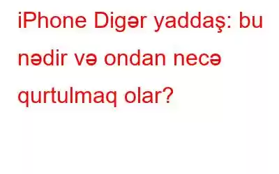 iPhone Digər yaddaş: bu nədir və ondan necə qurtulmaq olar?