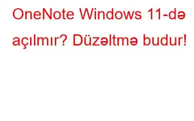 OneNote Windows 11-də açılmır? Düzəltmə budur!