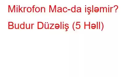 Mikrofon Mac-da işləmir? Budur Düzəliş (5 Həll)