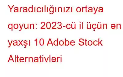 Yaradıcılığınızı ortaya qoyun: 2023-cü il üçün ən yaxşı 10 Adobe Stock Alternativləri