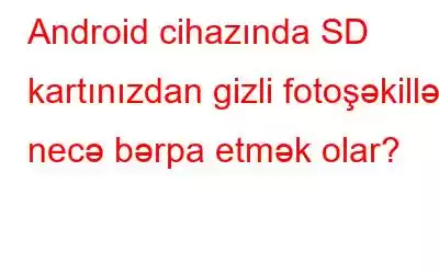 Android cihazında SD kartınızdan gizli fotoşəkilləri necə bərpa etmək olar?